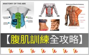 【2022】腹肌訓練全攻略：5大秘訣提升腹肌感受度！男女通用３大腹部訓練動作