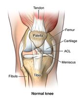 護膝作用原理